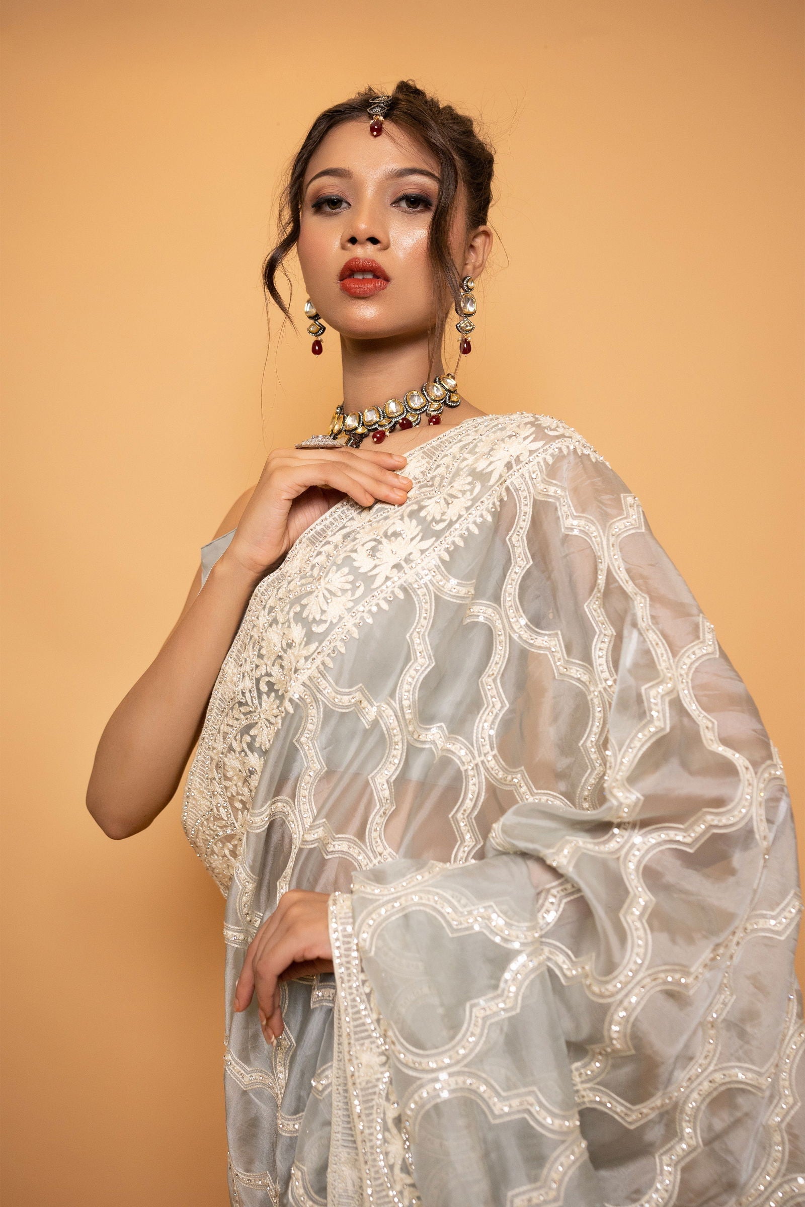 Gray Organza Saree with Heavy Thread Work and Swarovski Stones with Stitched Designer Blouse - Mayrake