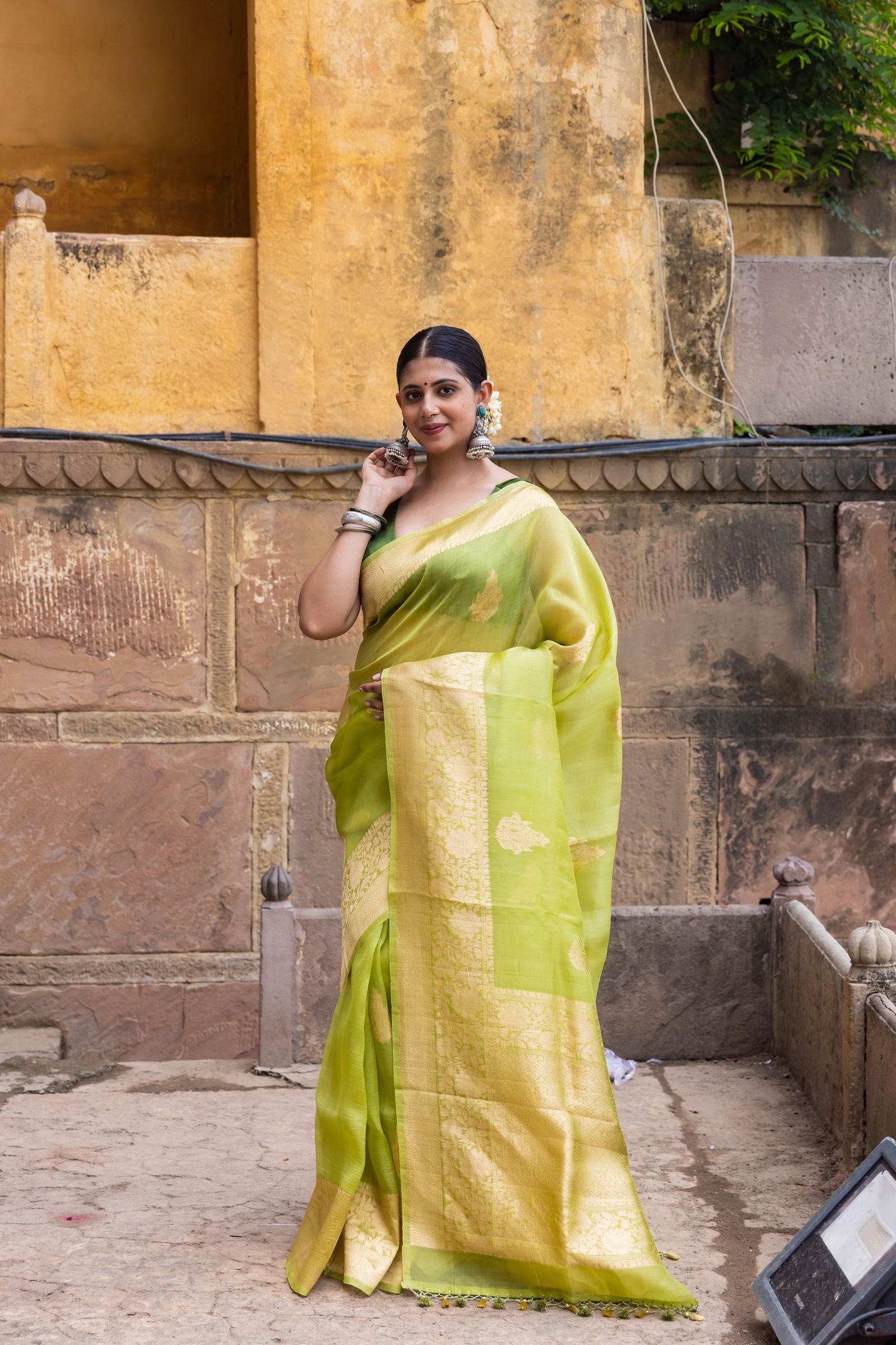 Handloom Parrot Green Pure Kora Organza Banarsi Saree - Mayrake