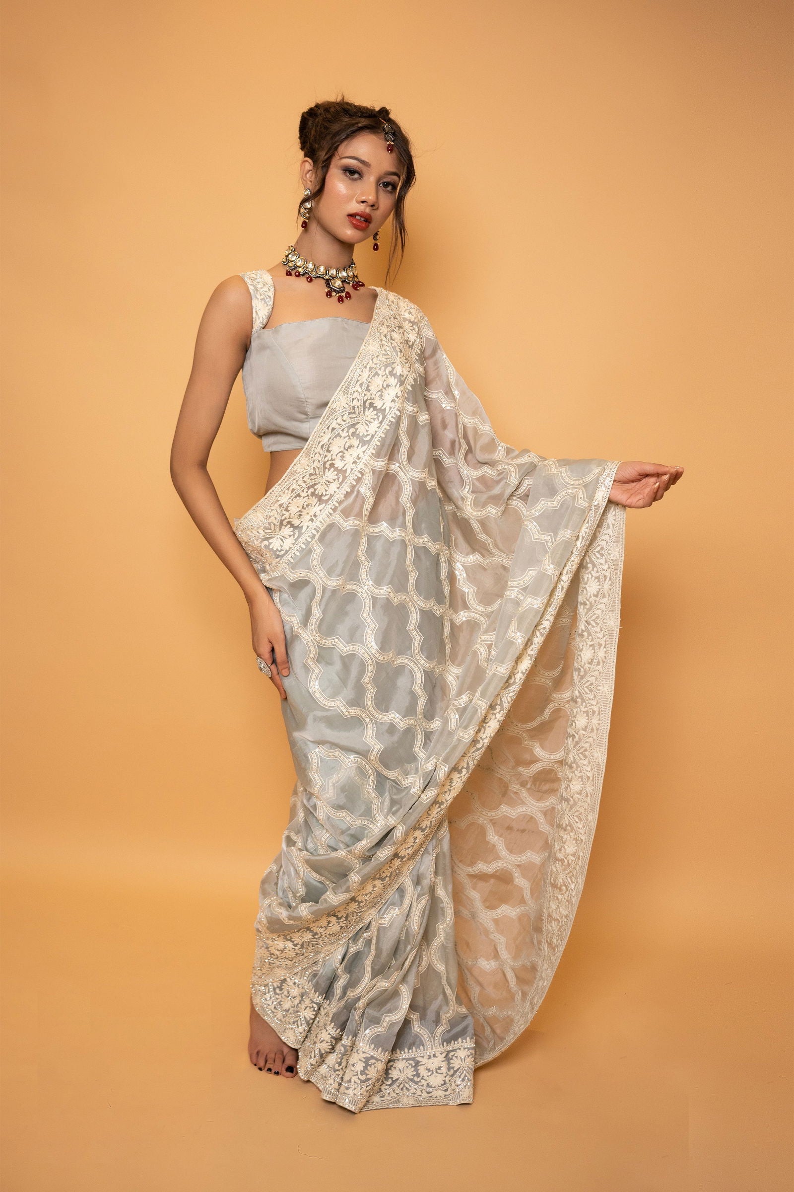Gray Organza Saree with Heavy Thread Work and Swarovski Stones with Stitched Designer Blouse - Mayrake