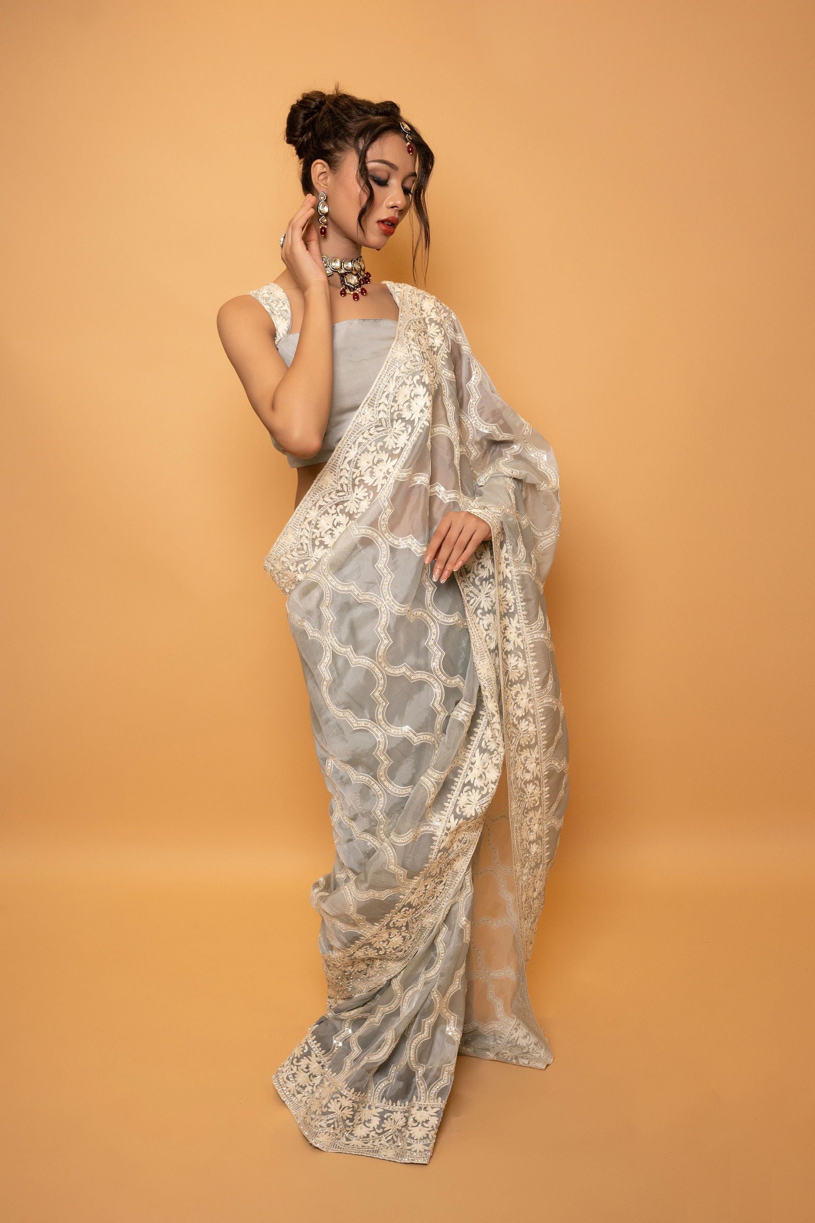 Gray Organza Saree with Heavy Thread Work and Swarovski Stones with Stitched Designer Blouse - Mayrake