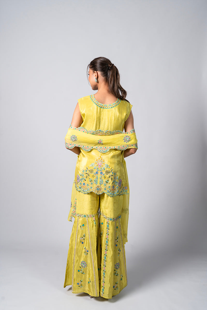 #color_marigold yellow