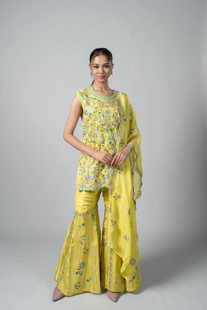 #color_marigold yellow